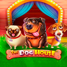 The Dog House