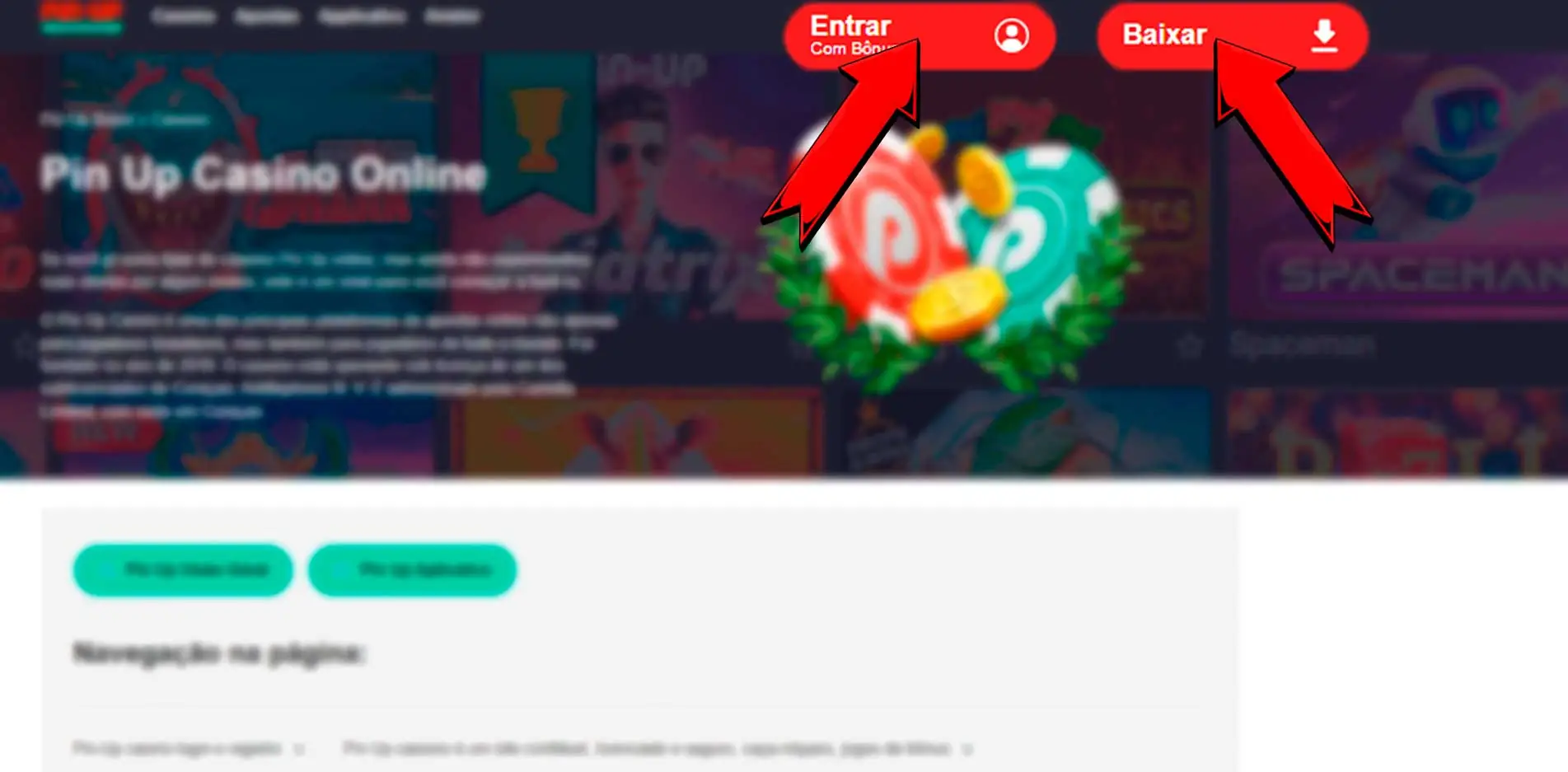 Ir para o site do Pin Up Casino Online